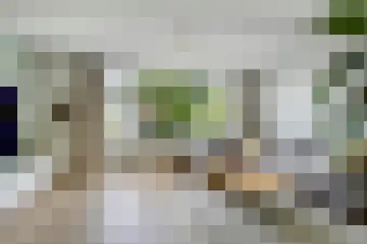 Menno ter Braaklaan 10 Oegstgeest thumbnail 11