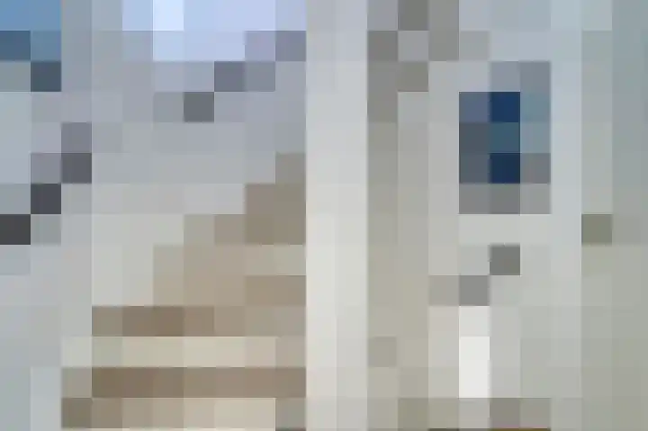 Menno ter Braaklaan 10 Oegstgeest thumbnail 22