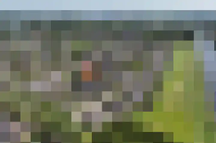 Menno ter Braaklaan 10 Oegstgeest thumbnail 38