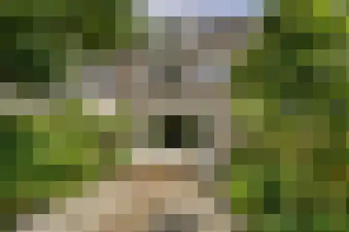 Menno ter Braaklaan 10 Oegstgeest thumbnail 4