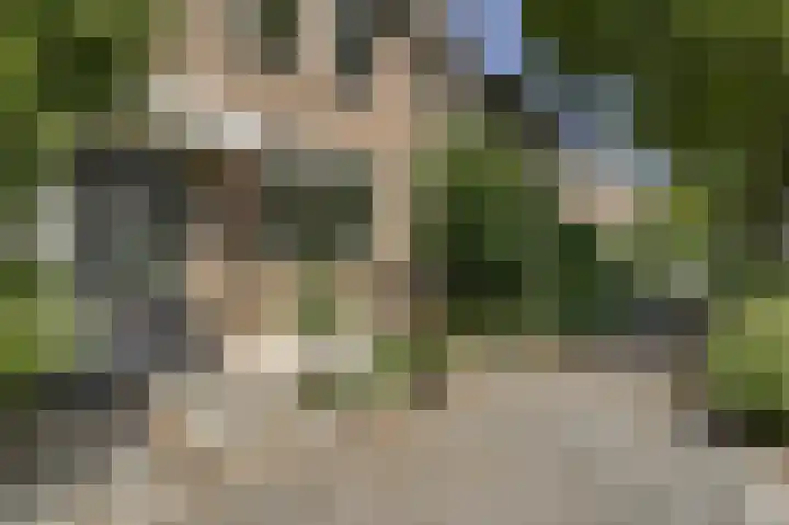 Menno ter Braaklaan 10 Oegstgeest thumbnail 7