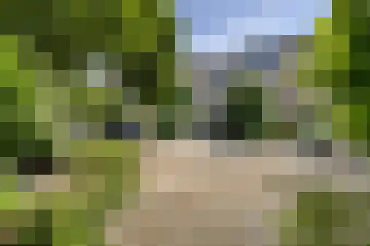 Menno ter Braaklaan 10 Oegstgeest thumbnail 8