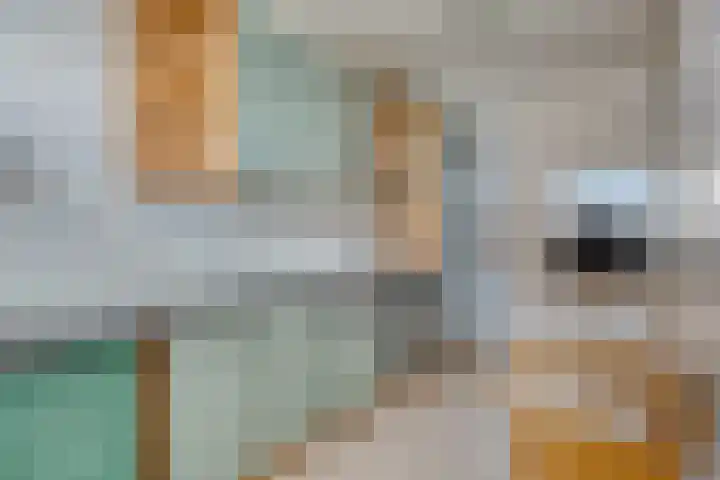 Menno ter Braaklaan 165 Delft thumbnail 13