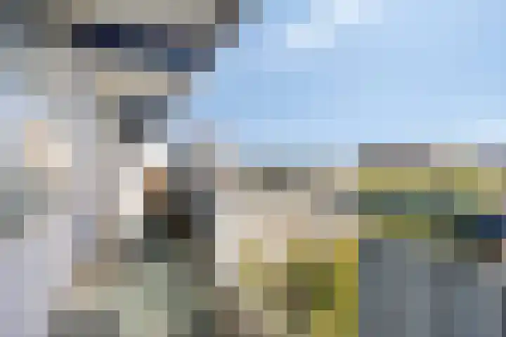 Menno ter Braaklaan 165 Delft thumbnail 21