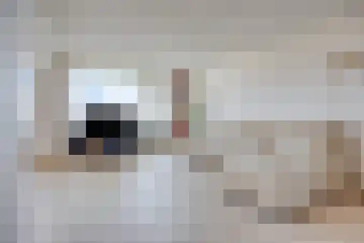 Menno ter Braaklaan 165 Delft thumbnail 8