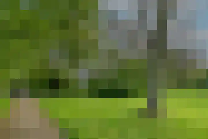 Menno ter Braaklaan 183 Delft thumbnail 11