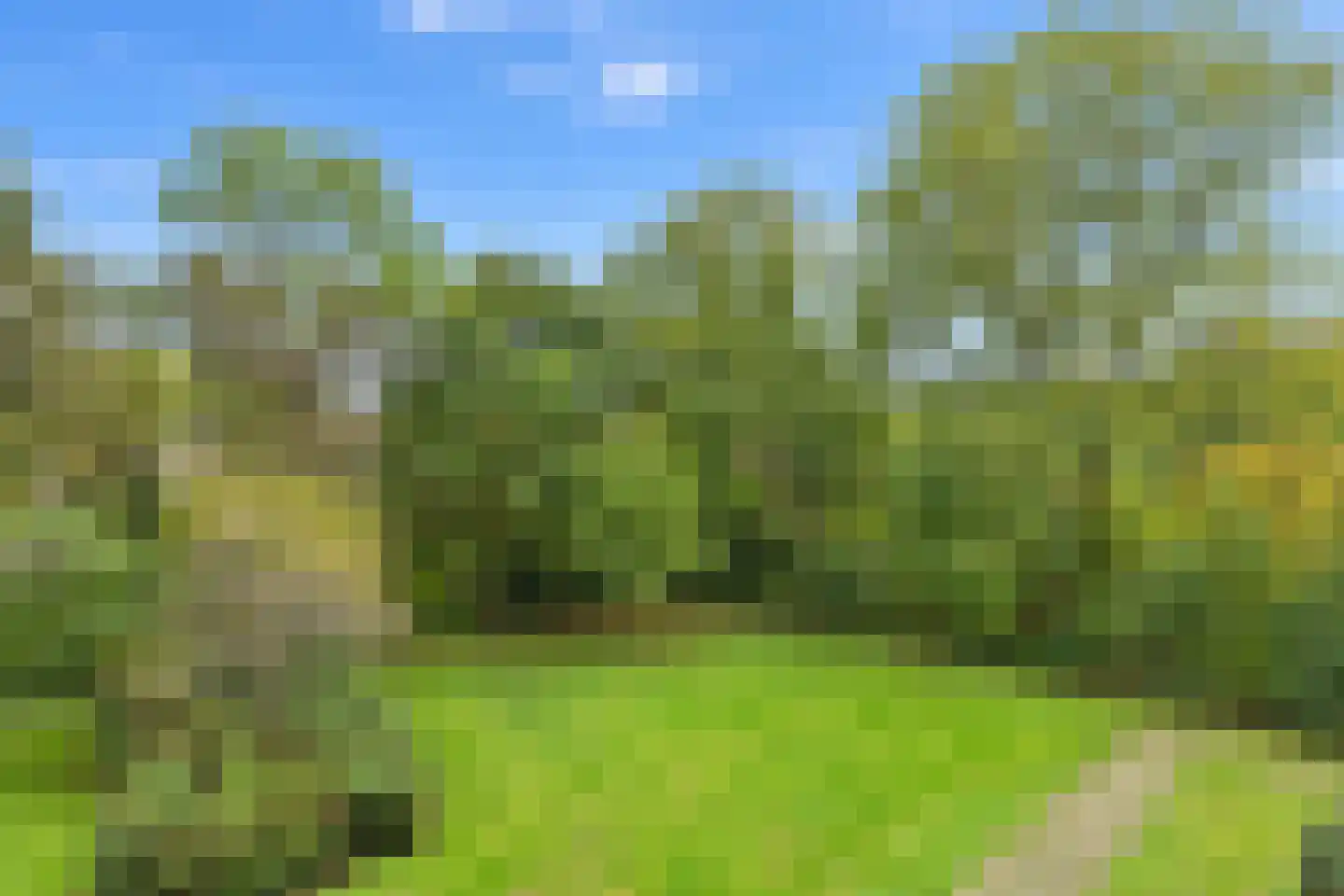 Menno ter Braaklaan 19 Delft thumbnail 14