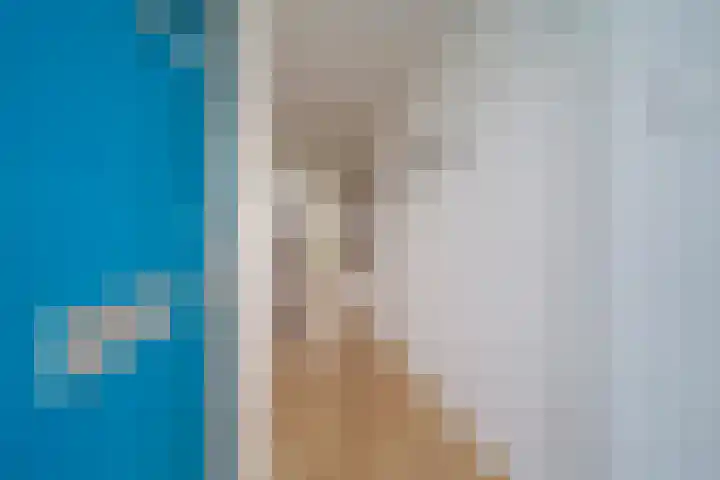 Menno ter Braaklaan 223 Delft thumbnail 11