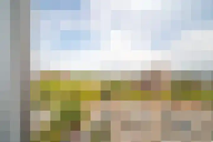 Menno ter Braaklaan 223 Delft thumbnail 18