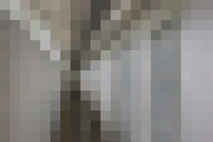 Menno ter Braaklaan 223 Delft thumbnail 35