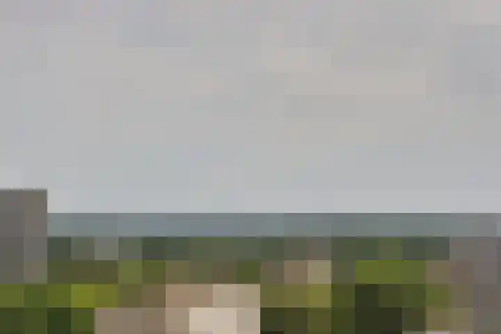 Menno ter Braaklaan 223 Delft thumbnail 39