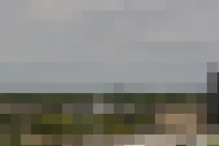Menno ter Braaklaan 223 Delft thumbnail 40