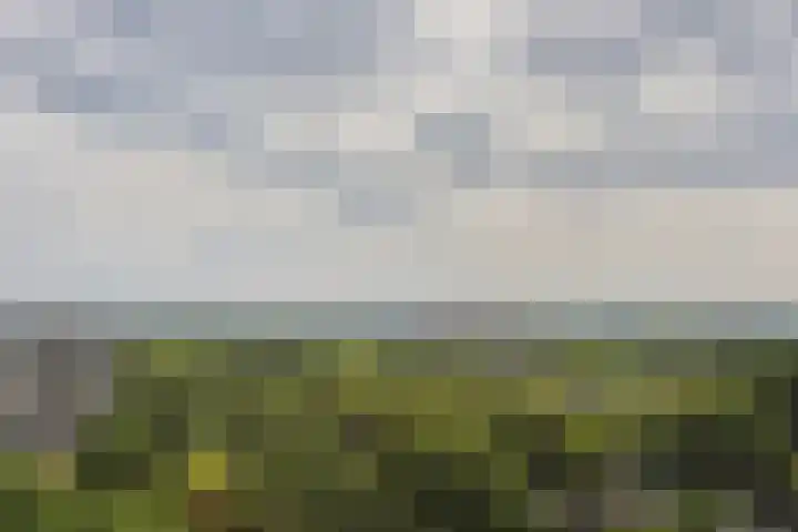 Menno ter Braaklaan 223 Delft thumbnail 41