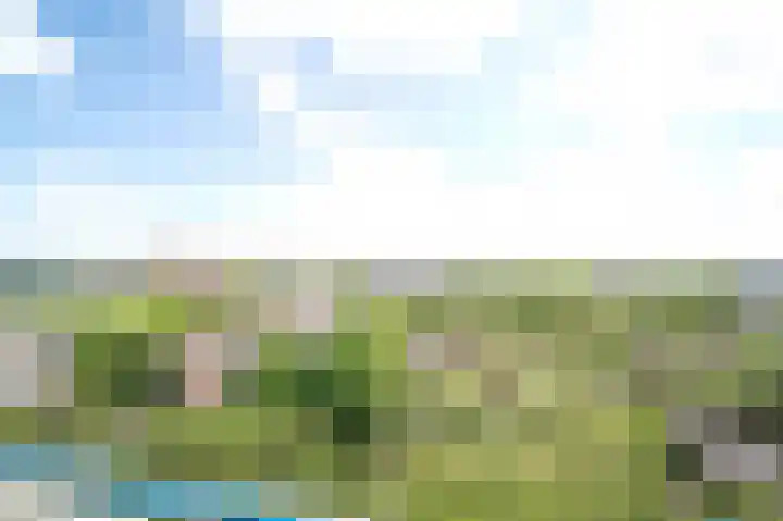 Menno ter Braaklaan 243 Delft thumbnail 24