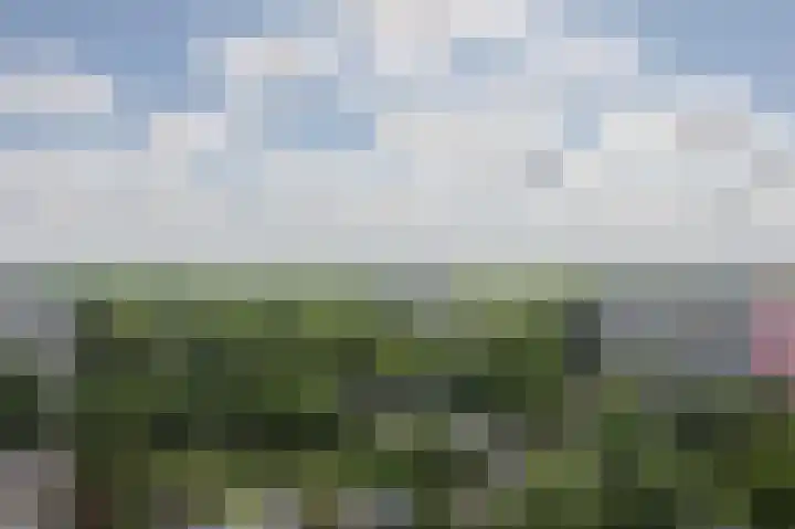 Menno ter Braaklaan 243 Delft thumbnail 25