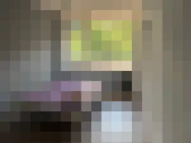 Menno ter Braaklaan 31 Delft thumbnail 13