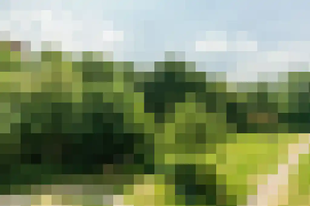 Menno ter Braaklaan 31 Delft thumbnail 27
