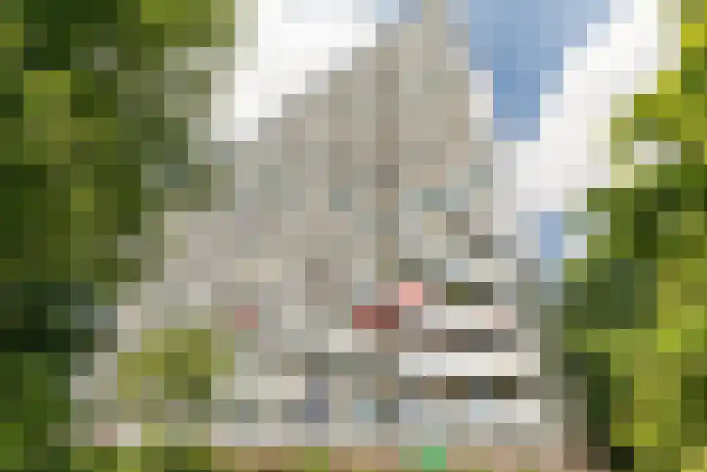 Menno ter Braaklaan 31 Delft thumbnail 29
