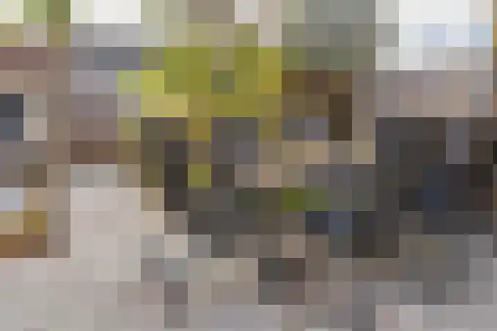 Menno ter Braakplein 25 Gorinchem thumbnail 14