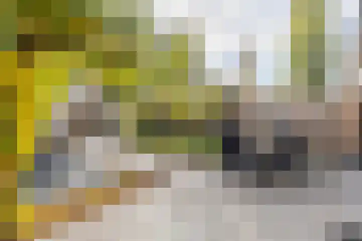 Menno ter Braakplein 25 Gorinchem thumbnail 15