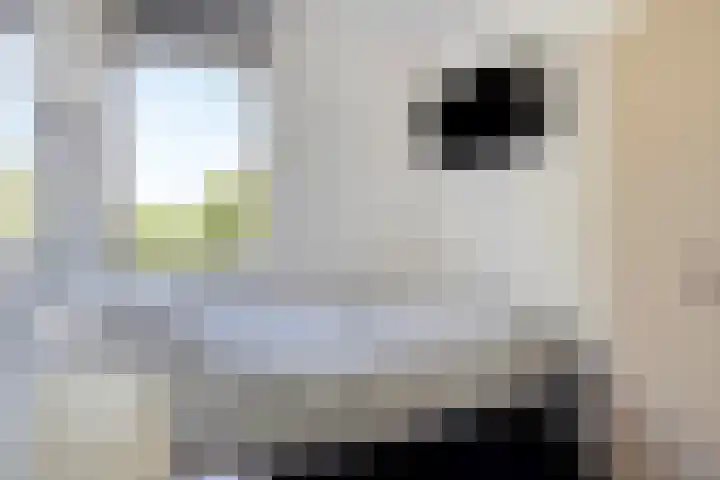 Menno ter Braakplein 31 Gorinchem thumbnail 20