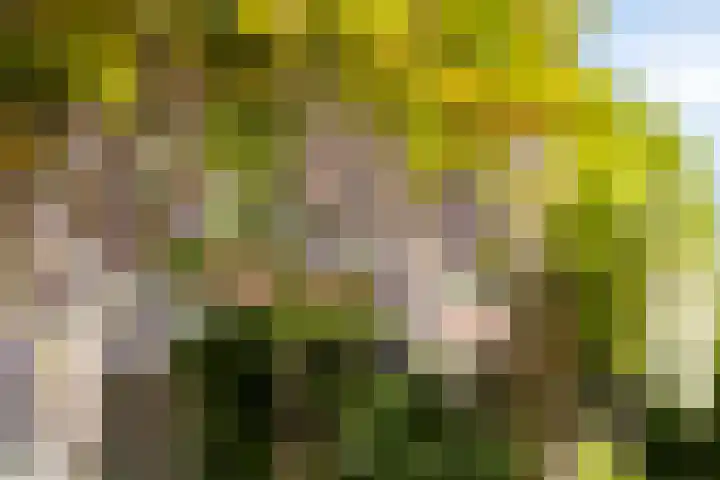 Menno ter Braakplein 31 Gorinchem thumbnail 26