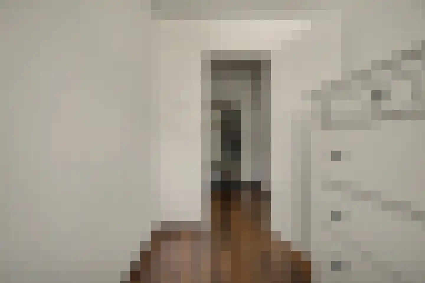Menno ter Braakstraat 12 A Spijkenisse thumbnail 10