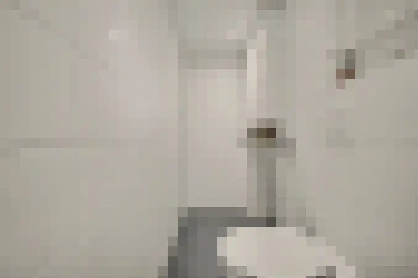 Menno ter Braakstraat 12 A Spijkenisse thumbnail 14