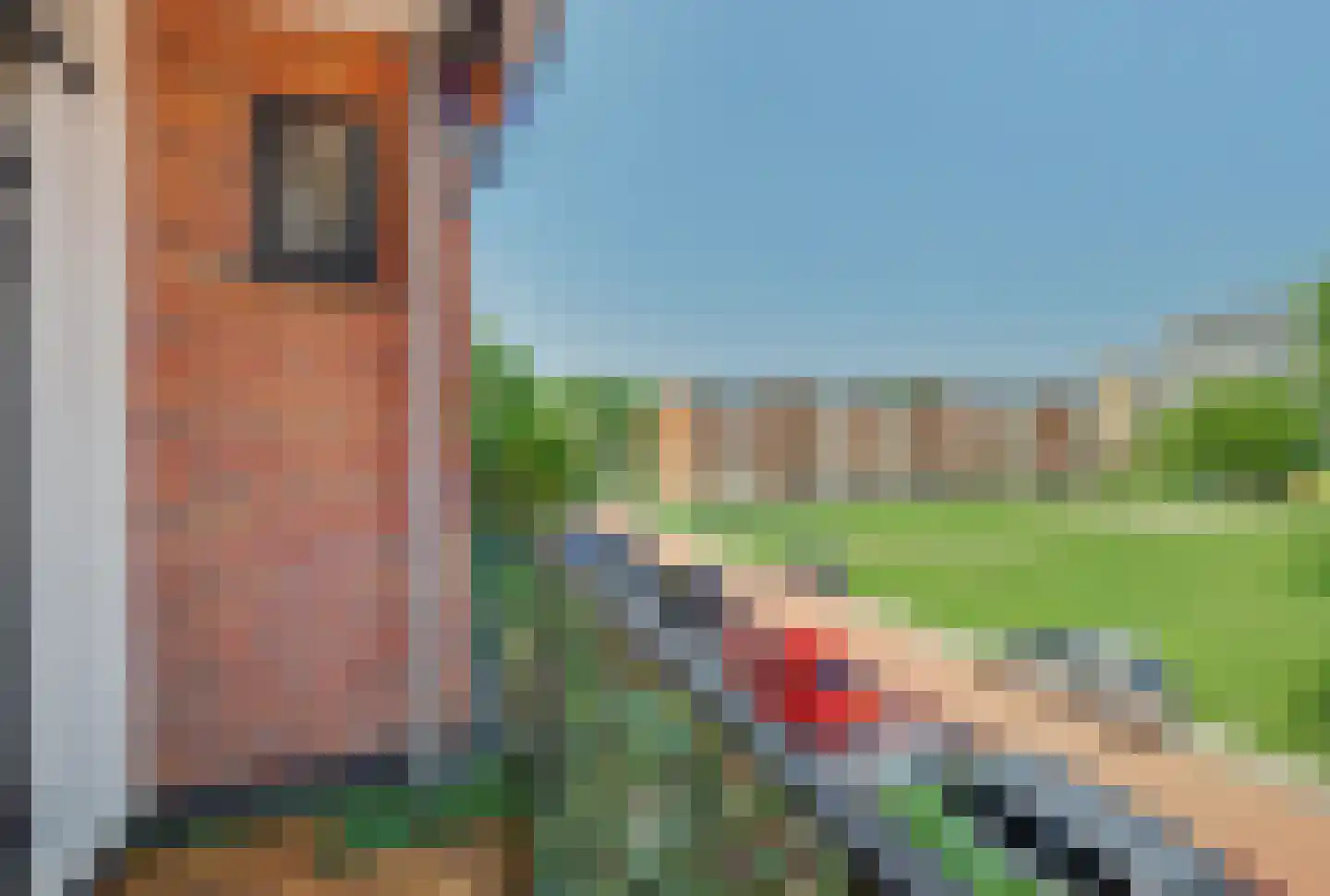 Menno ter Braakstraat 12 A Spijkenisse thumbnail 19