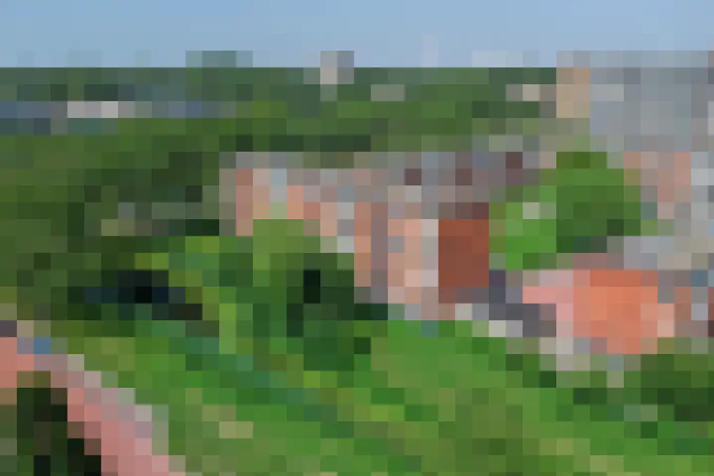 Menno ter Braakstraat 12 A Spijkenisse thumbnail 28