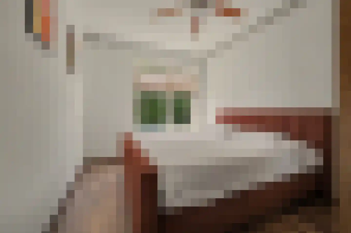 Menno ter Braakstraat 12 A Spijkenisse thumbnail 7
