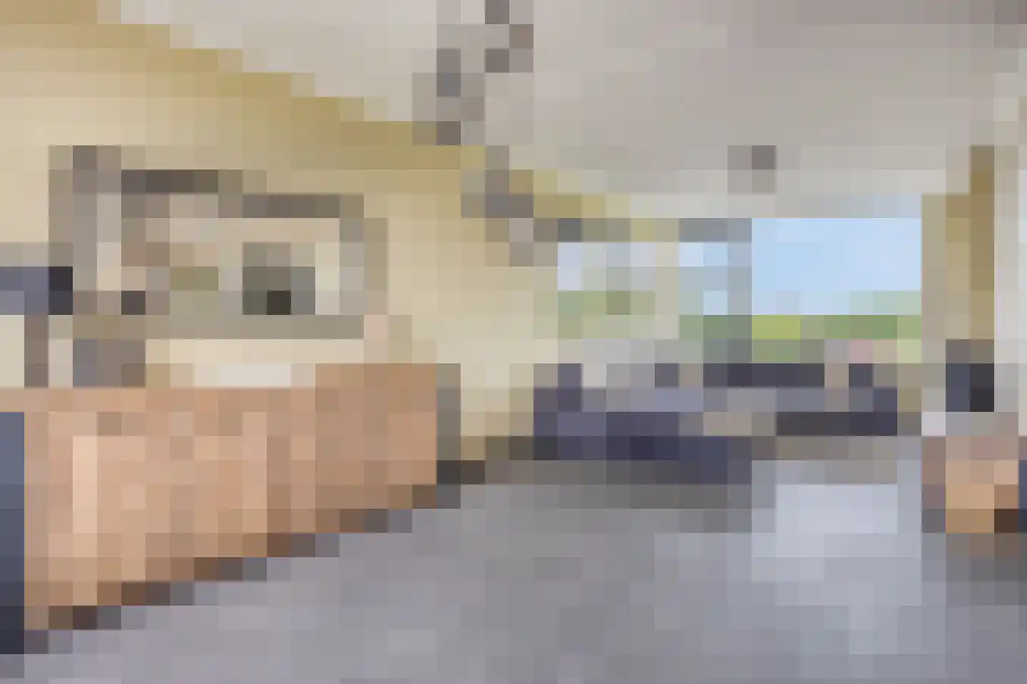 Menno ter Braakstraat 12 C Spijkenisse thumbnail 14
