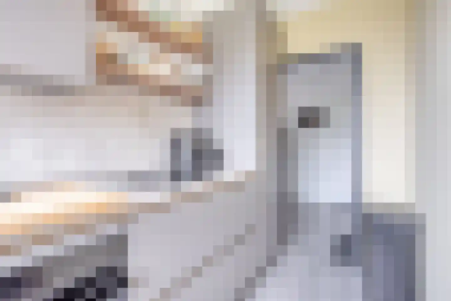 Menno ter Braakstraat 12 C Spijkenisse thumbnail 16