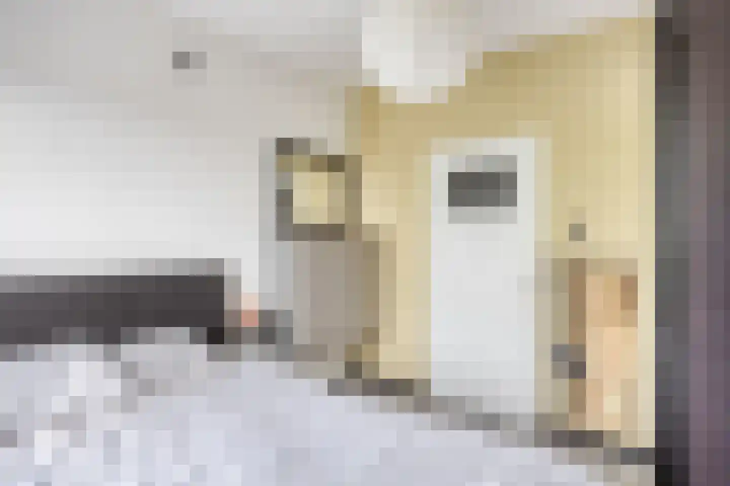 Menno ter Braakstraat 12 C Spijkenisse thumbnail 18