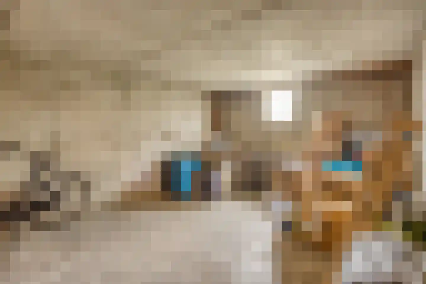Menno ter Braakstraat 12 C Spijkenisse thumbnail 24