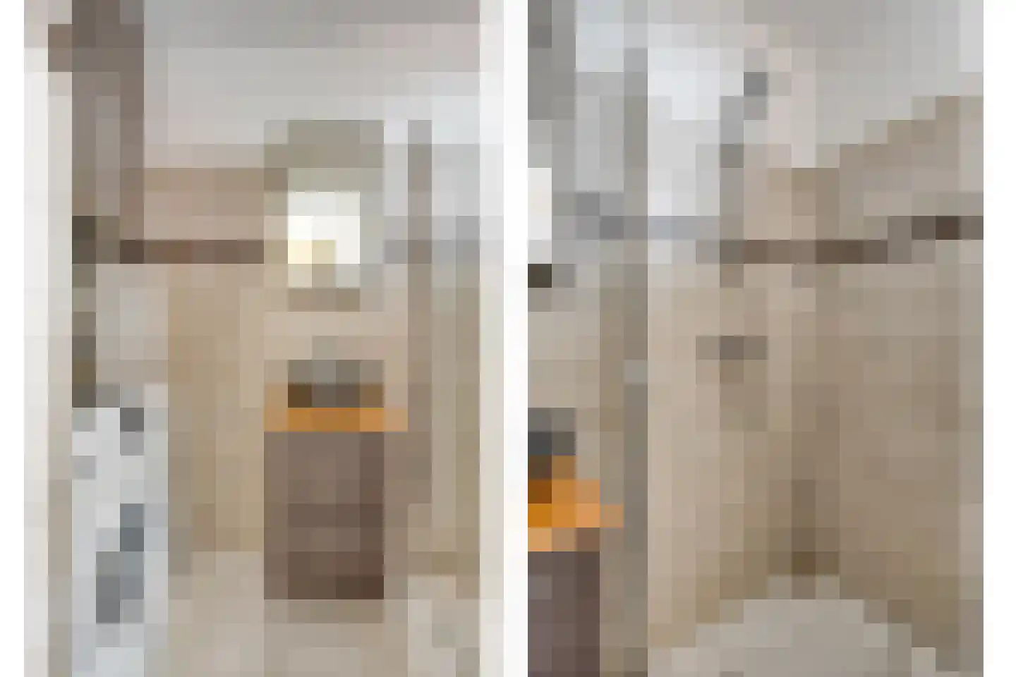 Menno ter Braakstraat 12 C Spijkenisse thumbnail 27