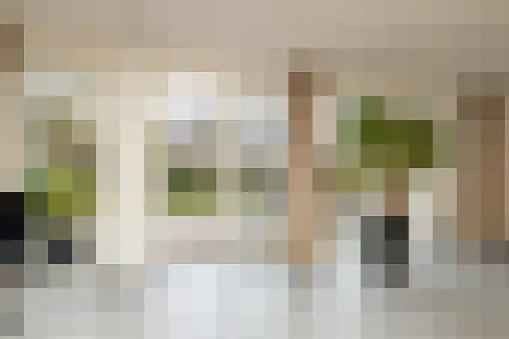 Menno ter Braakstraat 2 Den Haag thumbnail 11