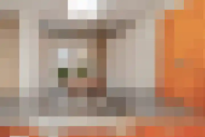 Menno ter Braakstraat 2 Den Haag thumbnail 16