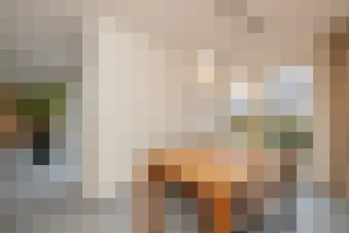 Menno ter Braakstraat 2 Den Haag thumbnail 17