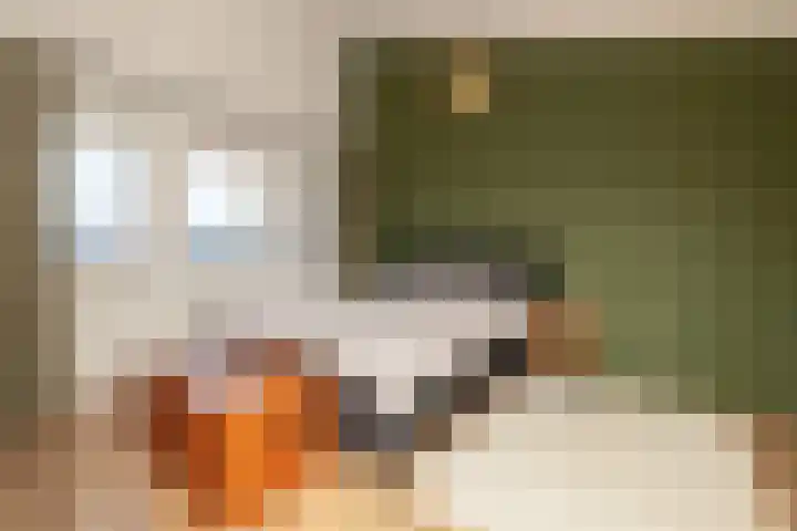 Menno ter Braakstraat 2 Den Haag thumbnail 19