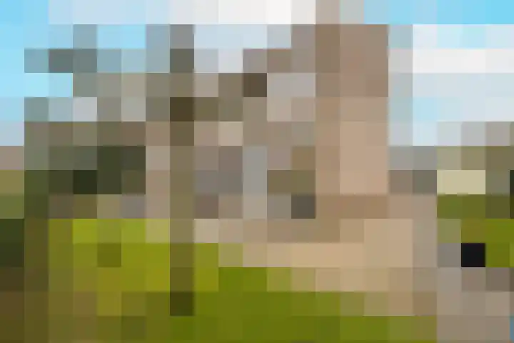 Menno ter Braakstraat 2 Den Haag thumbnail 4