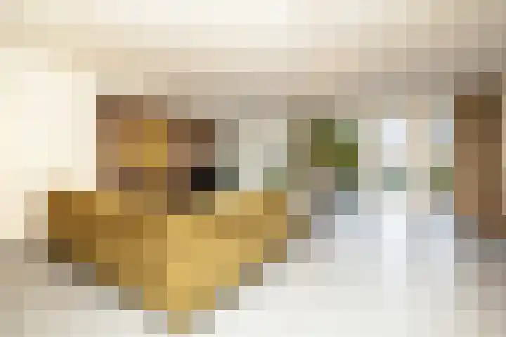 Menno ter Braakstraat 2 Den Haag thumbnail 6