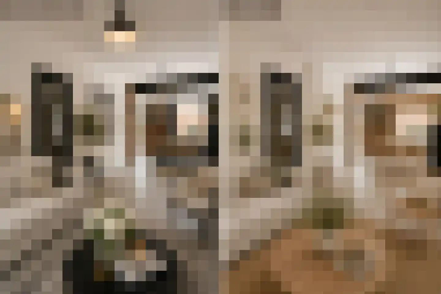 Menno ter Braakstraat 2 Papendrecht thumbnail 10