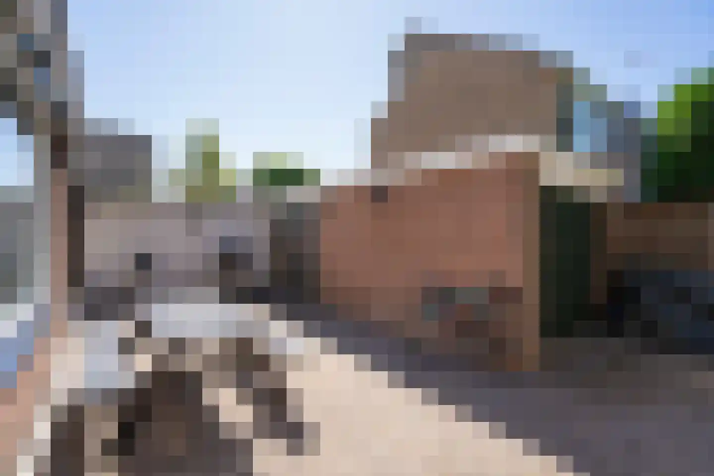 Menno ter Braakstraat 2 Papendrecht thumbnail 6