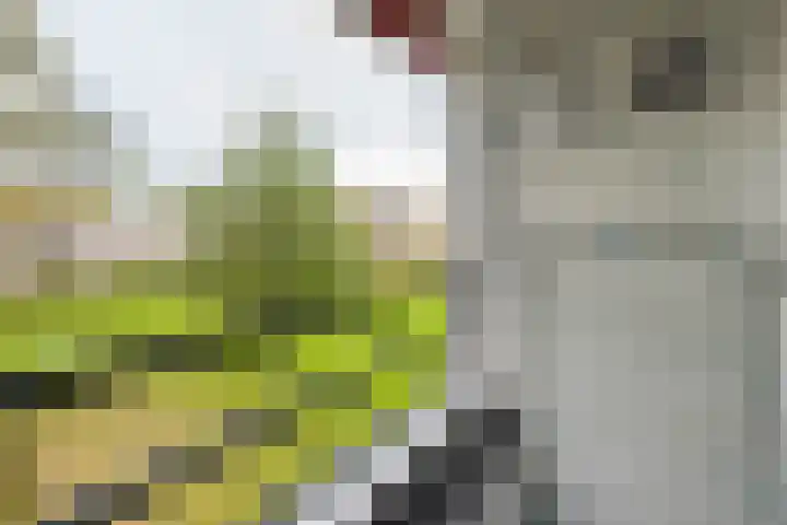 Menno ter Braakstraat 20 Rotterdam thumbnail 15