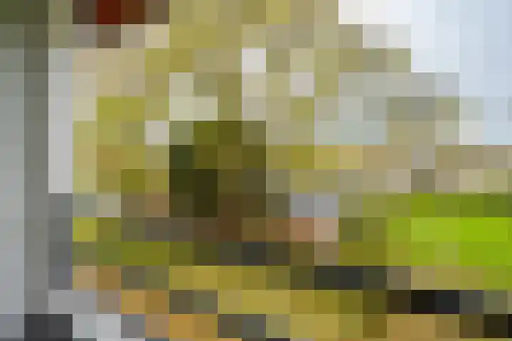 Menno ter Braakstraat 20 Rotterdam thumbnail 16