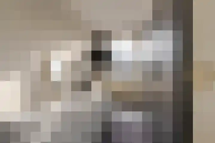 Menno ter Braakstraat 20 Rotterdam thumbnail 18