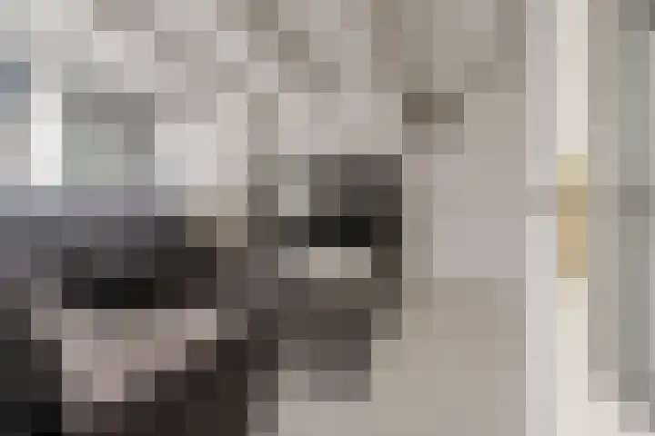 Menno ter Braakstraat 20 Rotterdam thumbnail 7