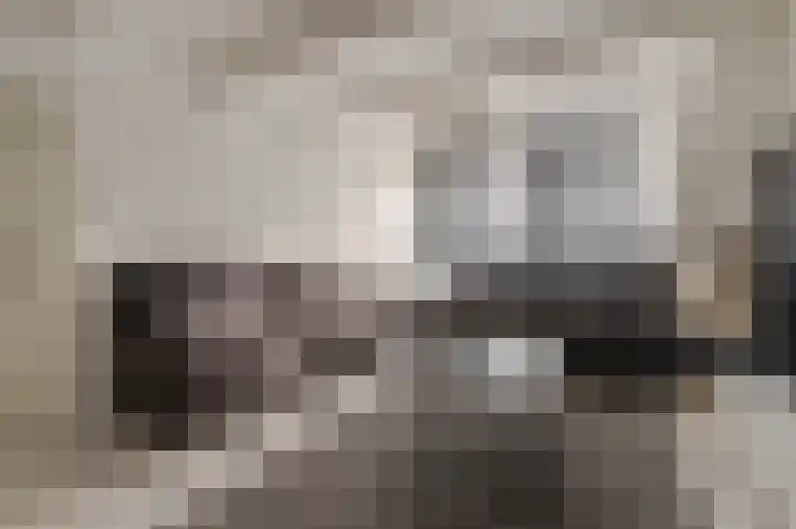 Menno ter Braakstraat 20 Rotterdam thumbnail 8