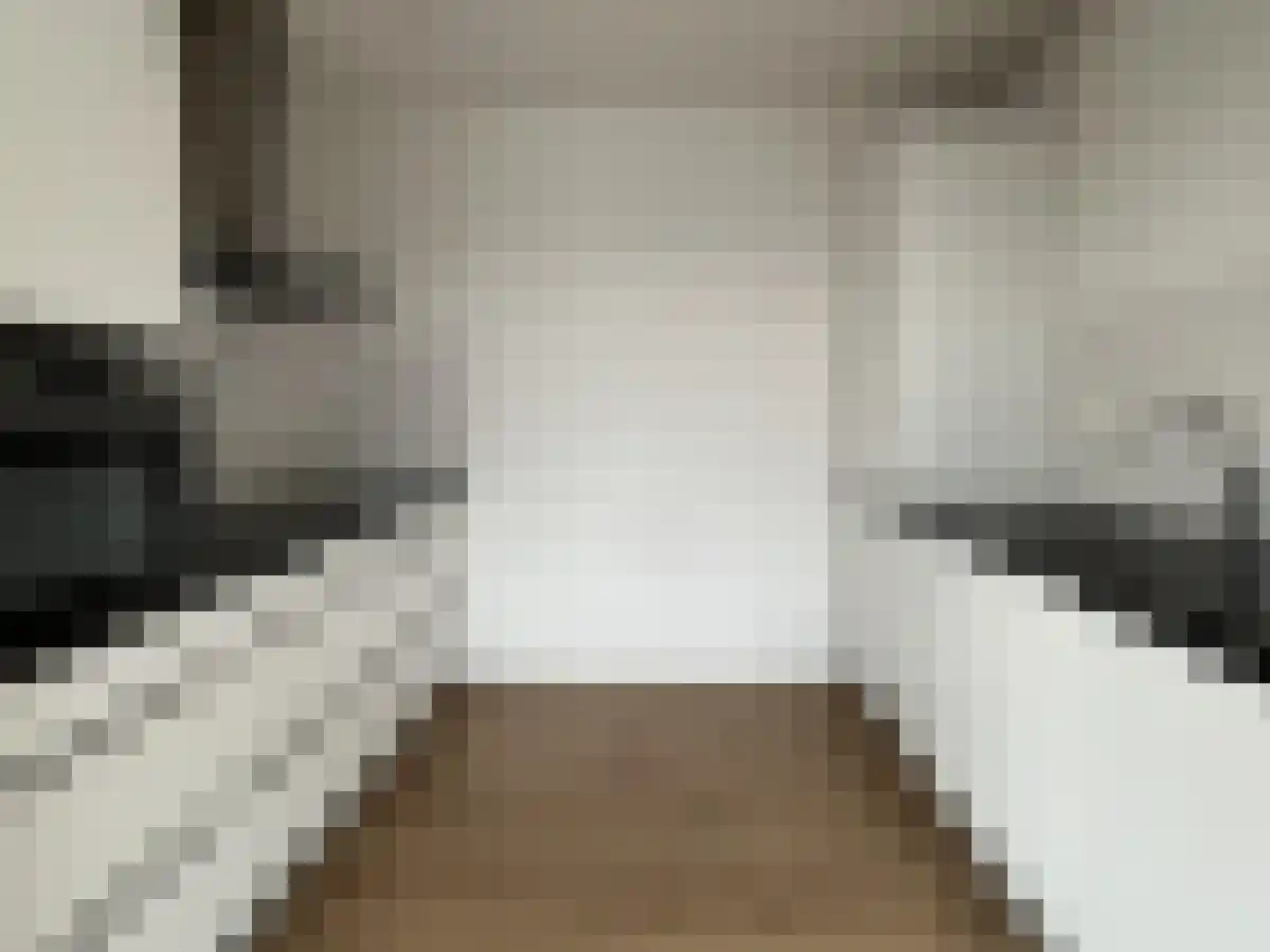 Menno ter Braakstraat 222 Den Haag thumbnail 4